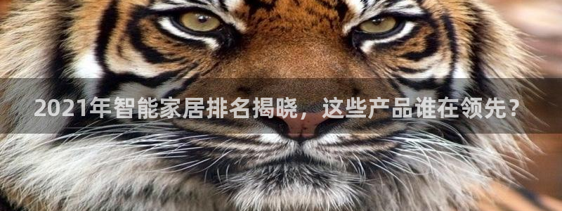 uG环球游戏网站