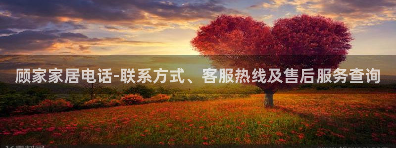 UG环球会员官方