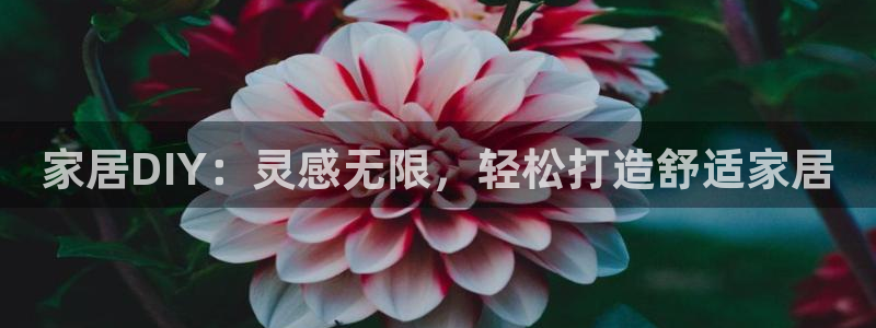ug环球信用盘