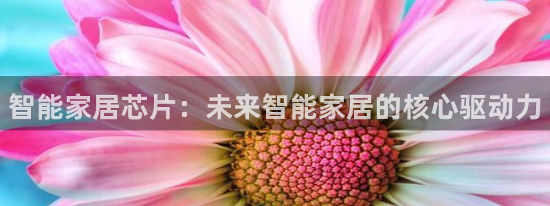 ug环球密码重置是多少位数