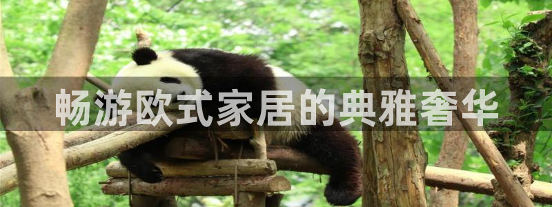 ug环球视讯充值