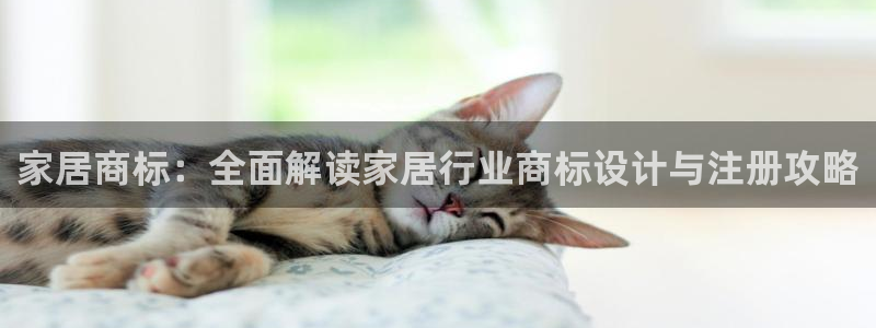 ug环球代理平台官网