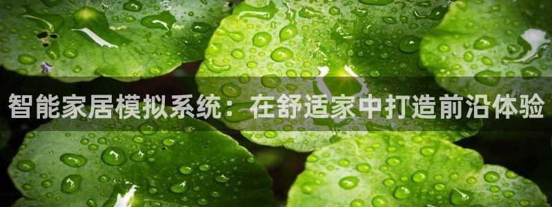 ug环球登录