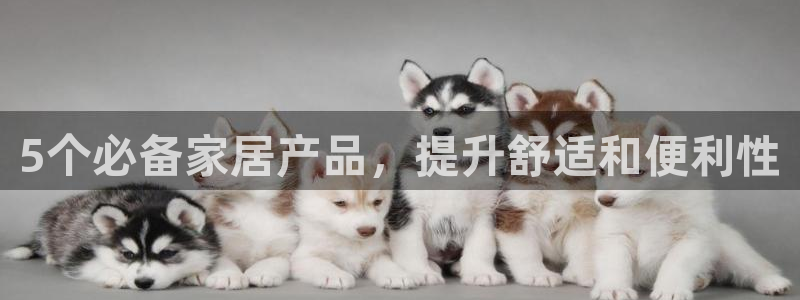 ug环球注册会员