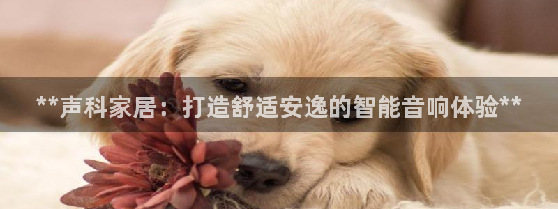 UG环球视讯下载