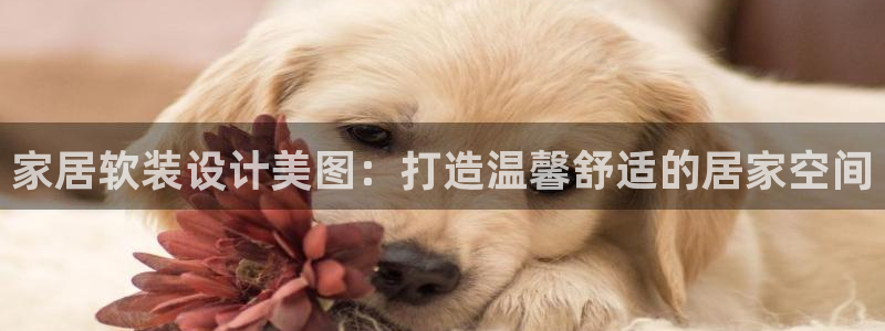 ug环球正网包杀