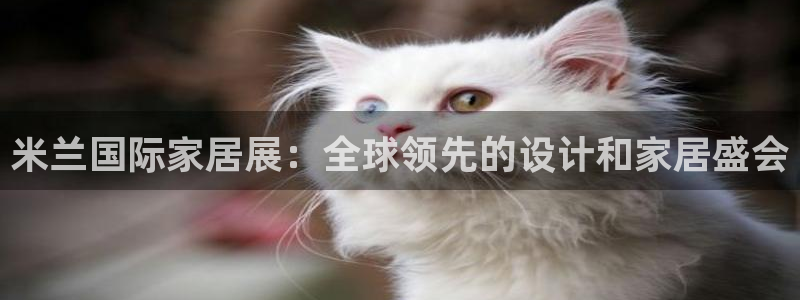 ug环球视讯充值