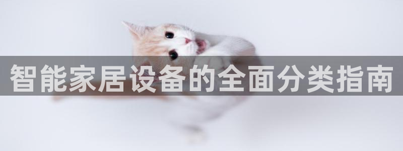 ug环球买代理