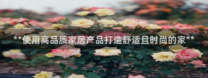 Ug环球网网址
