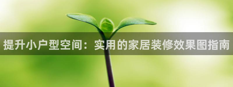 UG环球假网一比一包杀网