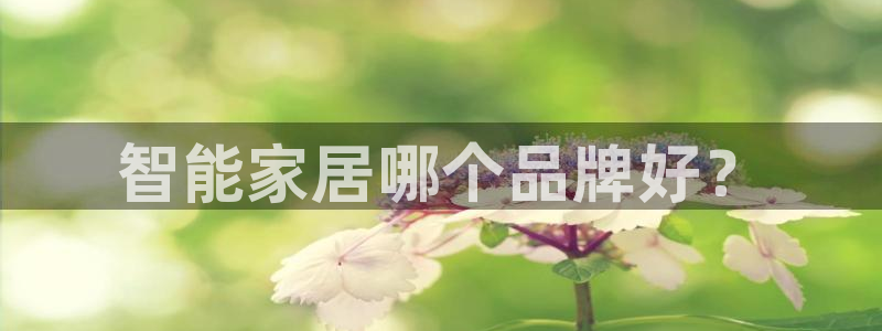uG环球网站