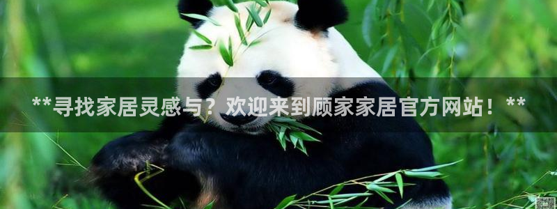 UG环球网一比一