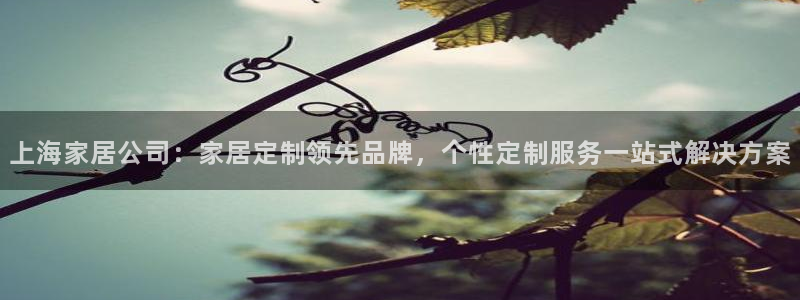 ug环球官网代理
