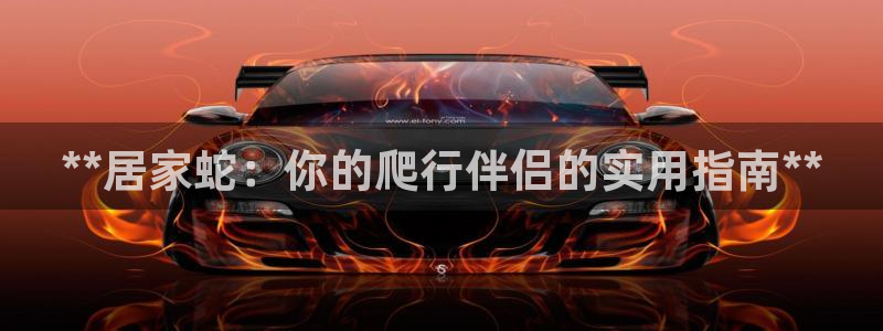 ug环球官网在线