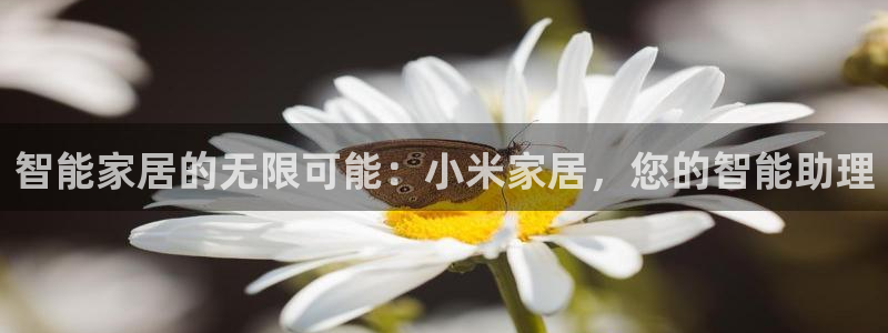 ug环球开户
