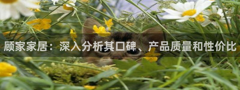 ug环球360官网